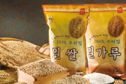韓国産小麦